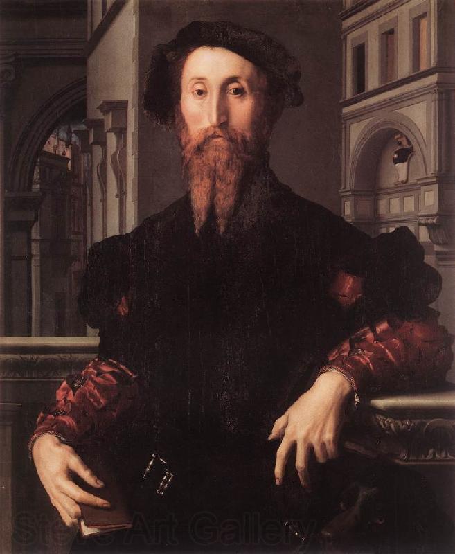 BRONZINO, Agnolo Portrait of Bartolomeo Panciatichi g Norge oil painting art